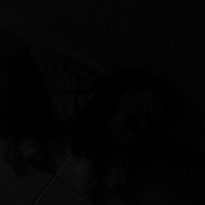 Meet your Posher, Maritza